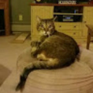 Meet your Posher, Kathleen